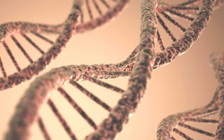 DNA Doppelhelix