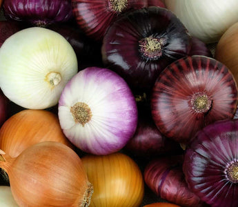 Was ist Quercetin?