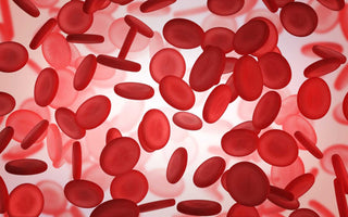 Ferritin und CRP: Warum ein einzelner Blutwert beim Eisenmangel nicht reicht