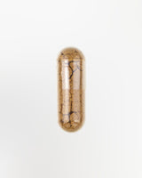 Astragalus Kapsel Nahaufnahme 