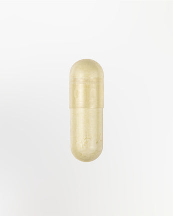 Resveratrol Kapsel
