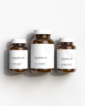 Fasting Bundle